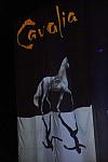 Cavalia-6-8-10-002-DDeRosaPhoto.jpg