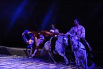 Cavalia-6-8-10-042-DDeRosaPhoto.jpg