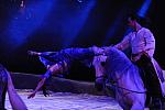 Cavalia-6-8-10-043-DDeRosaPhoto.jpg