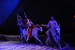 Cavalia-6-8-10-045-DDeRosaPhoto.jpg