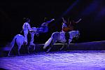 Cavalia-6-8-10-046-DDeRosaPhoto.jpg