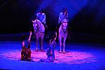 Cavalia-6-8-10-080-DDeRosaPhoto.jpg