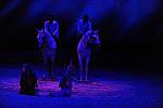 Cavalia-6-8-10-081-DDeRosaPhoto.jpg