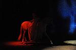 Cavalia-6-8-10-084-DDeRosaPhoto.jpg