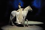 Cavalia-6-8-10-088-DDeRosaPhoto.jpg