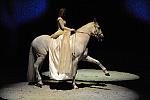 Cavalia-6-8-10-089-DDeRosaPhoto.jpg