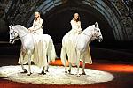 Cavalia-6-8-10-097-DDeRosaPhoto.jpg