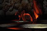 Cavalia-6-8-10-099-DDeRosaPhoto.jpg