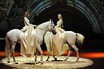 Cavalia-6-8-10-102-DDeRosaPhoto.jpg