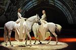 Cavalia-6-8-10-102-DDeRosaPhoto.jpg