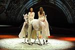 Cavalia-6-8-10-104-DDeRosaPhoto.jpg