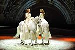 Cavalia-6-8-10-105-DDeRosaPhoto.jpg