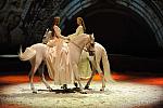 Cavalia-6-8-10-106-DDeRosaPhoto.jpg