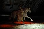 Cavalia-6-8-10-123-DDeRosaPhoto.jpg