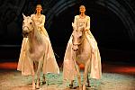 Cavalia-6-8-10-129-DDeRosaPhoto.jpg