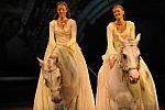 Cavalia-6-8-10-132-DDeRosaPhoto.jpg