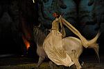 Cavalia-6-8-10-134-DDeRosaPhoto.jpg