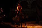 Cavalia-6-8-10-143-DDeRosaPhoto.jpg