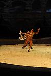 Cavalia-6-8-10-147-DDeRosaPhoto.jpg