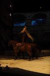 Cavalia-6-8-10-154-DDeRosaPhoto.jpg