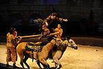 Cavalia-6-8-10-204-DDeRosaPhoto.jpg