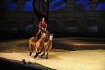 Cavalia-6-8-10-209-DDeRosaPhoto.jpg