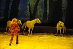 Cavalia-6-8-10-237-DDeRosaPhoto.jpg