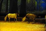 Cavalia-6-8-10-238-DDeRosaPhoto.jpg