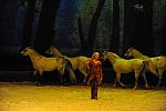 Cavalia-6-8-10-241-DDeRosaPhoto.jpg