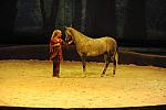 Cavalia-6-8-10-244-DDeRosaPhoto.jpg