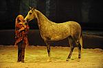 Cavalia-6-8-10-247-DDeRosaPhoto.jpg