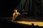 Cavalia-6-8-10-251-DDeRosaPhoto.jpg