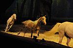 Cavalia-6-8-10-253-DDeRosaPhoto.jpg