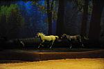 Cavalia-6-8-10-254-DDeRosaPhoto.jpg