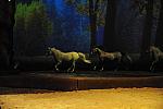 Cavalia-6-8-10-259-DDeRosaPhoto.jpg