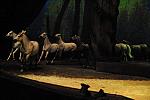 Cavalia-6-8-10-260-DDeRosaPhoto.jpg