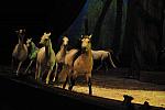 Cavalia-6-8-10-261-DDeRosaPhoto.jpg