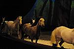 Cavalia-6-8-10-262-DDeRosaPhoto.jpg