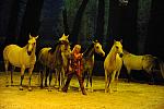 Cavalia-6-8-10-266-DDeRosaPhoto.jpg