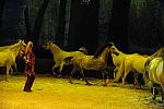 Cavalia-6-8-10-270-DDeRosaPhoto.jpg