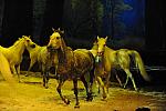 Cavalia-6-8-10-272-DDeRosaPhoto.jpg