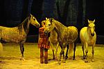 Cavalia-6-8-10-274-DDeRosaPhoto.jpg