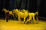 Cavalia-6-8-10-276-DDeRosaPhoto.jpg