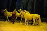 Cavalia-6-8-10-277-DDeRosaPhoto.jpg