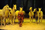 Cavalia-6-8-10-281-DDeRosaPhoto.jpg