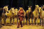 Cavalia-6-8-10-282-DDeRosaPhoto.jpg