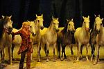 Cavalia-6-8-10-284-DDeRosaPhoto.jpg