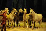 Cavalia-6-8-10-285-DDeRosaPhoto.jpg