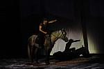 Cavalia-6-8-10-290-DDeRosaPhoto.jpg