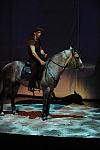 Cavalia-6-8-10-294-DDeRosaPhoto.jpg